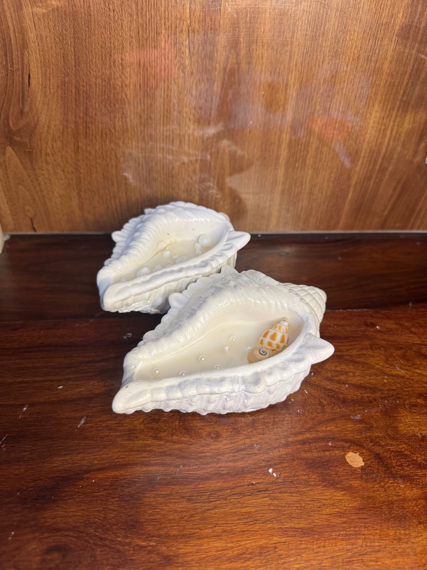 Scented Candle In Shell Base (Shankh)
